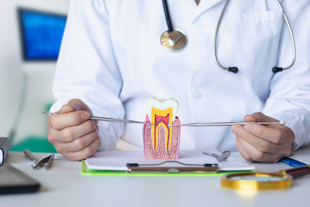 Best Pediatric Emergency Dentist in West Park, CA